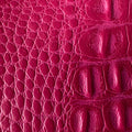 Animal Print Mat Mate
